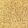 Palo Gold Rug Carpet